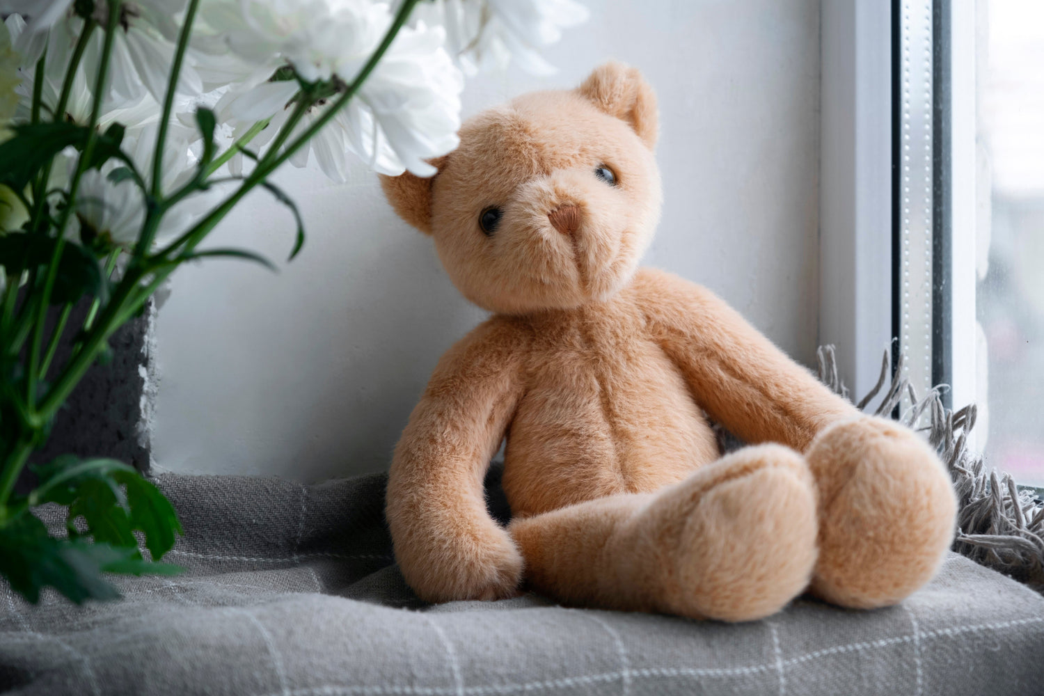 Quelle différence entre un doudou et une peluche ?