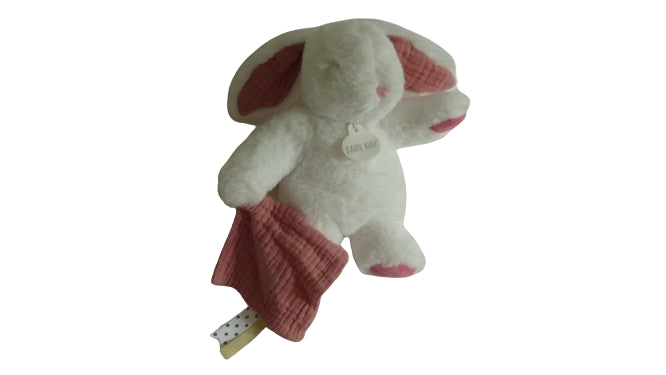 Peluche lapin BN0633 Baby'Nayt