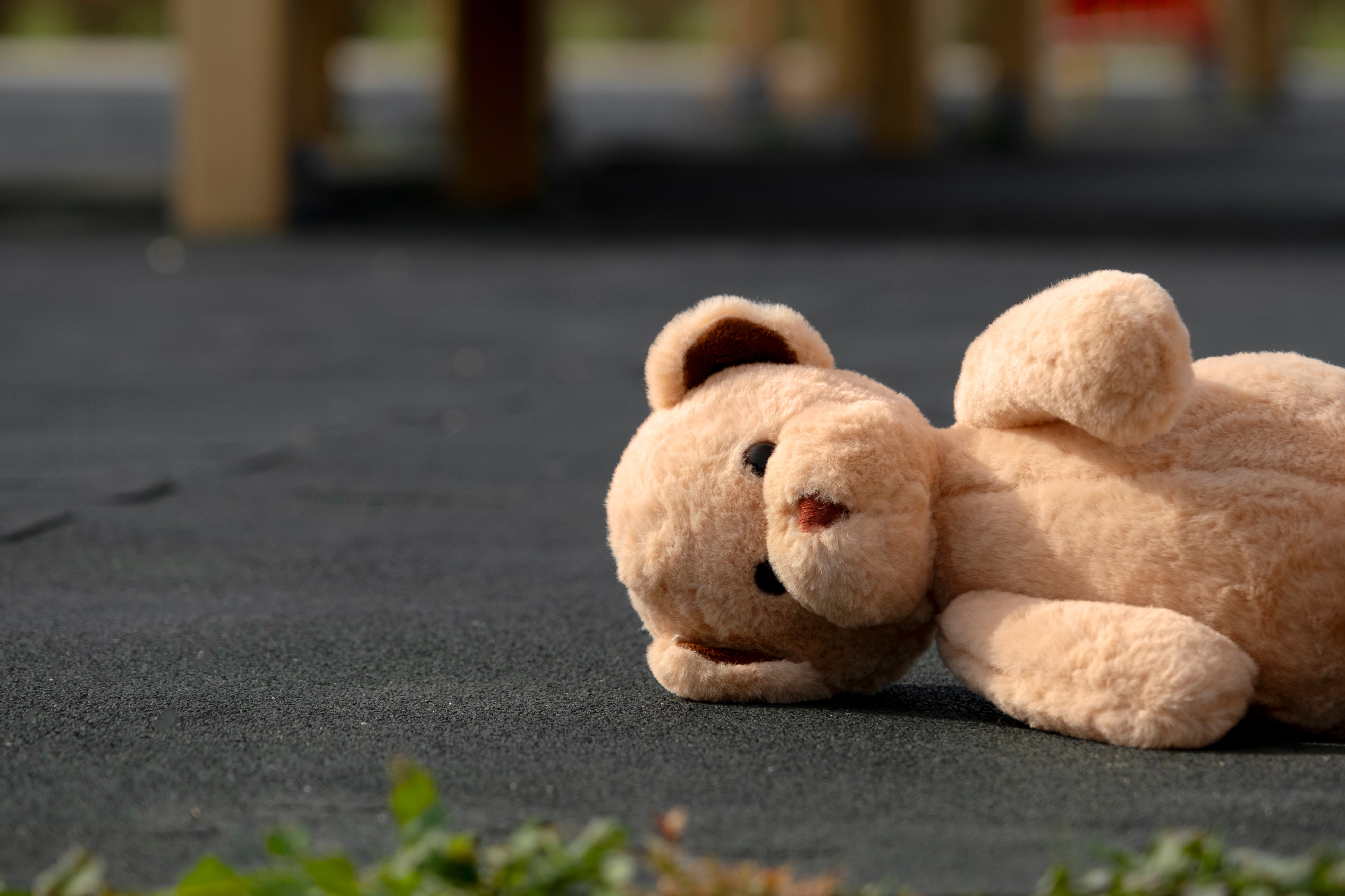 Mon doudou est perdu ?