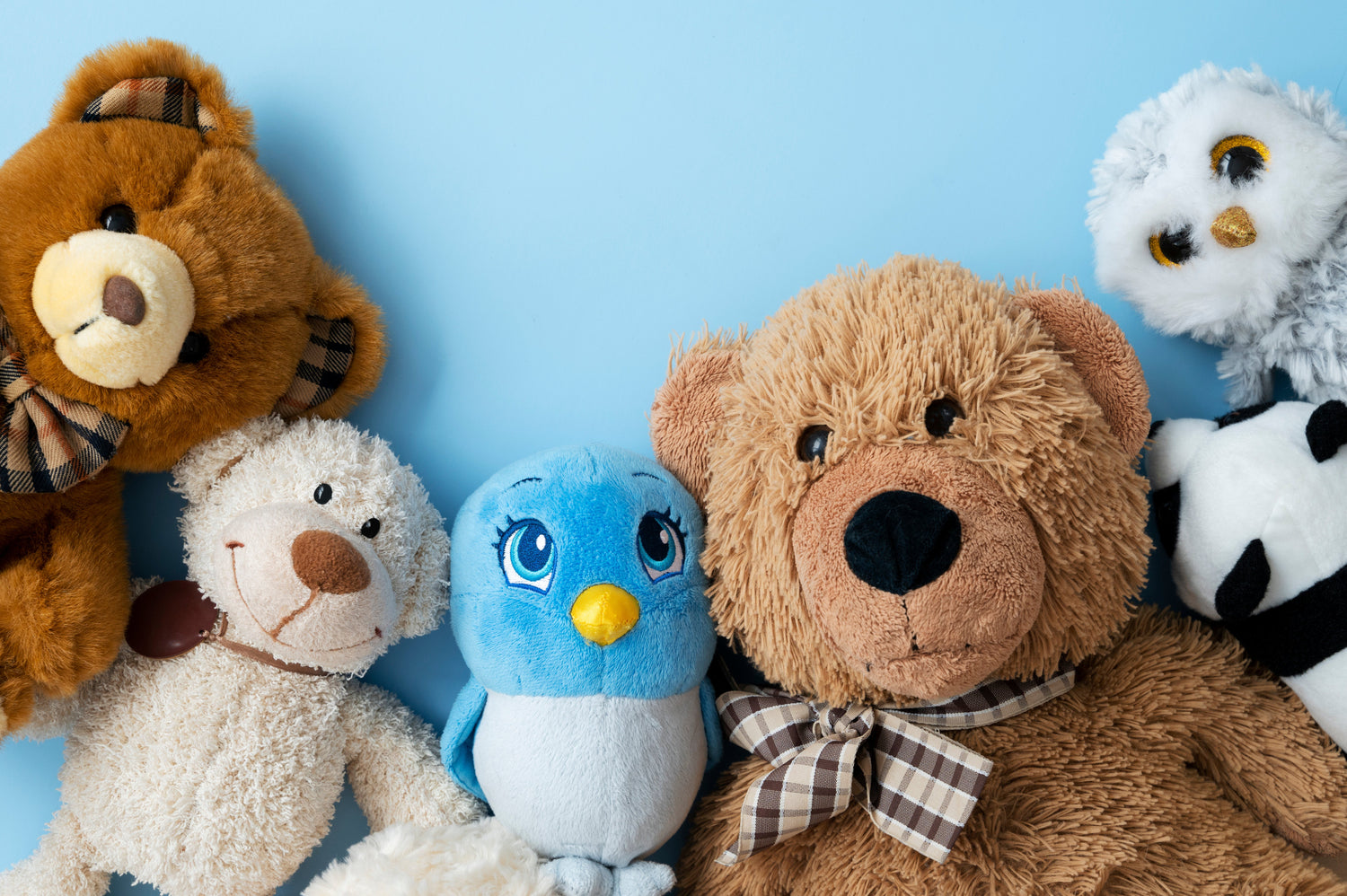 L’histoire du doudou : d’où vient cette tradition affective ?